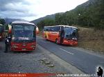 Irizar Century - Marcopolo Viaggio 1050 / Mercedes Benz OH-1628 - Scania K124IB / Pullman Bus
