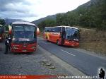Irizar Century - Marcopolo Viaggio 1050 / Mercedes Benz OH-1628 - Scania K124IB / Pullman Bus