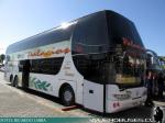 Youngman JPN6137SE / Buses Palacios