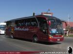 Neobus New Road N10 360 / Mercedes Benz O-500RS / Buses Palacios