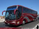 Marcopolo Paradiso 1200 / Mercedes Benz O-400RSD / Pullman Santa Rosa