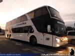 Modasa New Zeus II / Volvo B420R / Pullman Bus