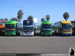 Pullman Paravias / Terminal de La Serena