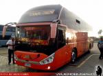 Zhong Tong LCK6137 / Palmira