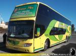 Modasa Zeus II / Mercedes Benz O-500RSD / Serena Mar