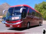 Unidades Mercedes Benz / Buses Canela - Servicio Especial