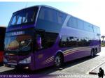 Modasa New Zeus II / Scania K410 / Pullman Bus