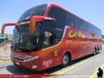 Comil Campione HD / Volvo B420R / Pullman Carmelita