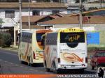 Unidades Irizar / Atacama Vip - Expreso Norte