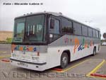 Ciferal Podium / Mercedes Benz O-371RS / Elqui Bus Palacios