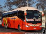 Irizar I6 3.90 / Volvo B420R / Pullman Bus