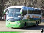 Irizar Century 3.90 / Mercedes Benz O-500RSD / Buses Palacios