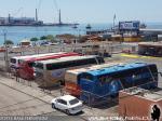 Terminal de Iquique / I Regiòn