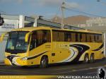 Irizar Century / Mercedes Benz O-500RSD / Buses Camus