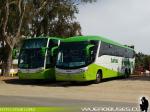 Unidades Mercedes Benz / Tur-Bus