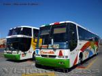 Busscar El Buss 340 - Jum Buss 400P / Mercedes Benz O-400 RSE -RSD / Pullman Carmelita
