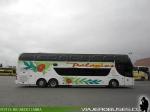 Youngman JPN6137 / Buses Palacios