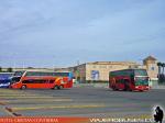 Marcopolo Paradiso G6-G7 1800DD / Scania K420 - Mercedes Benz O-500RSD - Pullman Bus