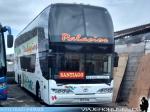 Youngman JPN6137 / Buses Palacios