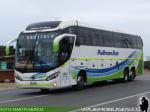 Mascarello Roma 370 / Volvo B420R / Pullman Bus