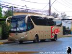 Yutong ZK6129 / Evans