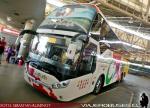 Zong Tong LCK6137 Half Deck / Pullman Carmelita