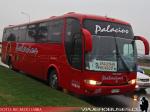 Marcopolo Viaggio 1050 / Scania K124IB / Palacios