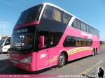 Modasa New Zeus II / Scania K410 / Pullman Bus