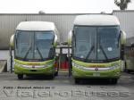 Marcopolo Paradiso 1200 G7 / Mercedes Benz O-500RSD / Tur-Bus