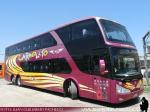 Modasa New Zeus II / Volvo B430R / Pullman Carmelita