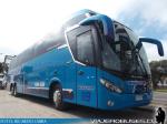 Mascarello Roma 370 / Scania K400 / Buses Vega