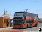 Unidades DD / Pullman Bus