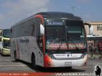 Neobus Road N10 360 / Scania K360 / Pullman Bus