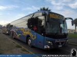 Golden Dragon / Buses Palacios