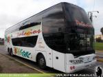 Youngman JPN6137 / Buses Palacios