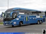 Mascarello Roma 370 / Volvo B420R / Pluss Chile