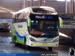 Mascarello Roma 370 / Volvo B420R / Pullman Bus