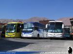 Taller Buses Cuevas / Iquique - I Región