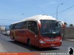 Irizar i6 / Scania K360 / Pullman Bus