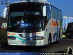 Irizar Century / Mercedes Benz O-500R / Buses Palacios