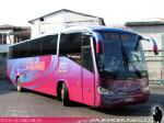 Unidades Mercedes Benz O-500RS - Scania K380 / Buses Cejer