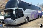 Zhong Tong LCK6137 / Chilebus