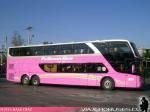 Modasa New Zeus II / Scania K410 / Pullman Bus