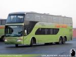 Modasa Zeus II / Mercedes Benz O-500RSD / Tur-Bus