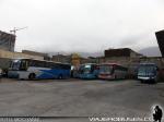 Flota de Buses Pullman Cuevas