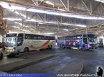 Comil Campione 3.65 / Volvo B12R - Mercedes Benz O-500RSD / Expreso Norte - Ramos Cholele