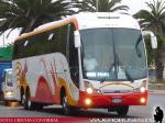 Maxibus Lince 3.65 / Mercedes Benz O-500RSD / Evans