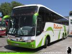 Marcopolo Paradiso 1200 / Mercedes Benz O-400RSD / Buses Palacios - Servicio Especial