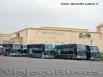 Flota de Buses Ciktur