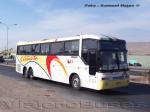 Busscar Jum Buss 360 / Scania K113 / Pullman Carmelita